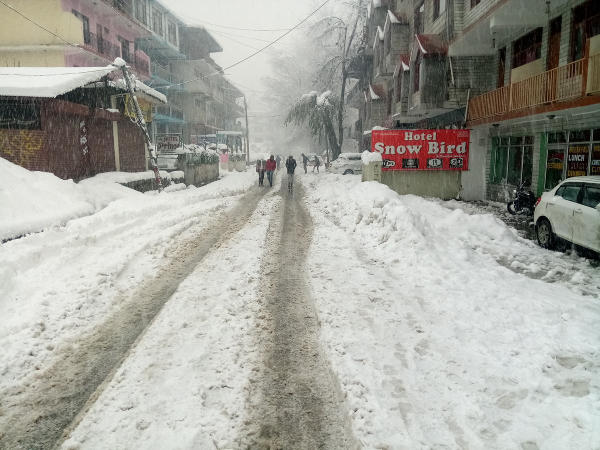 Dormico'S Hotel Snowbird Manali  Ngoại thất bức ảnh